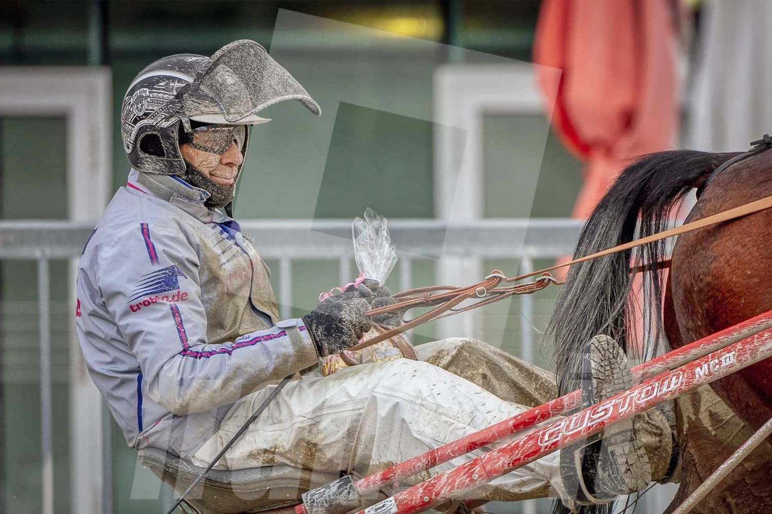 Trabrennfahrer mit Pferd in Wien.