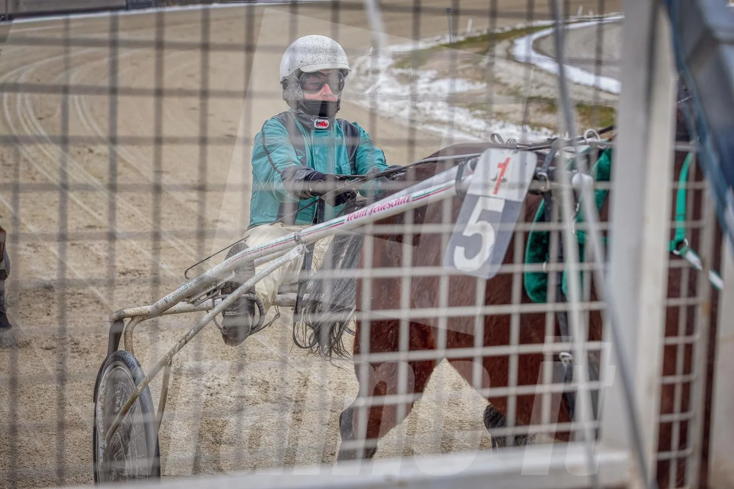Ein Trabrennfahrer und ein Trabrennpferd im Trabrennpark Krieau kurz vor dem Start, fotografiert vom Startwagen aus.