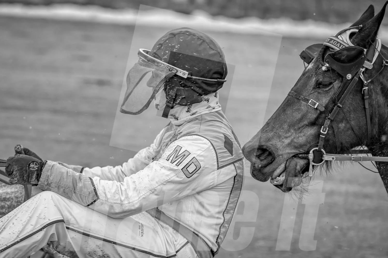 Renntag im Trabrennpark Krieau.