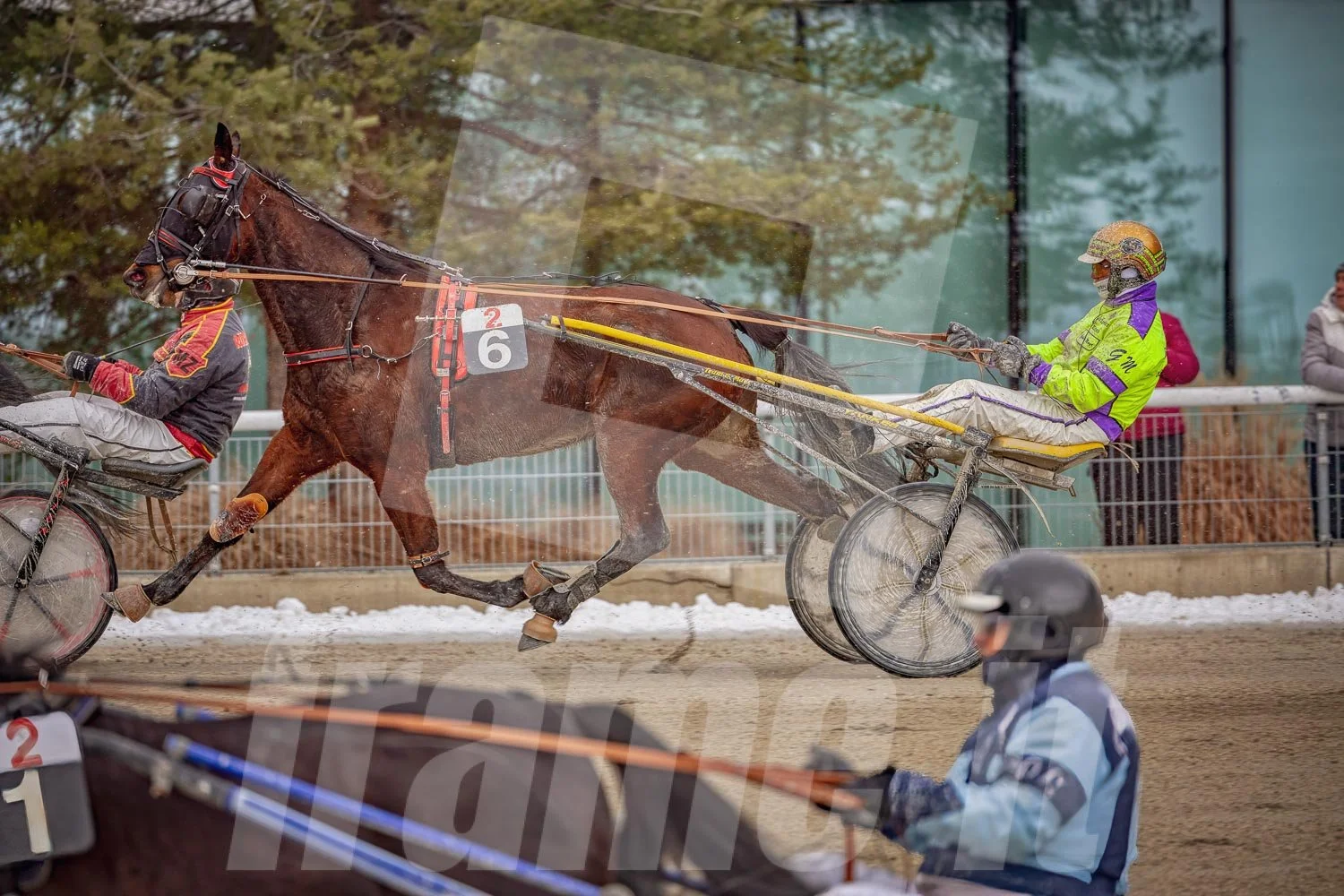Pferderennen auf einer Trabrennbahn, Zuschauer im Hintergrund, winterliche Umgebung.