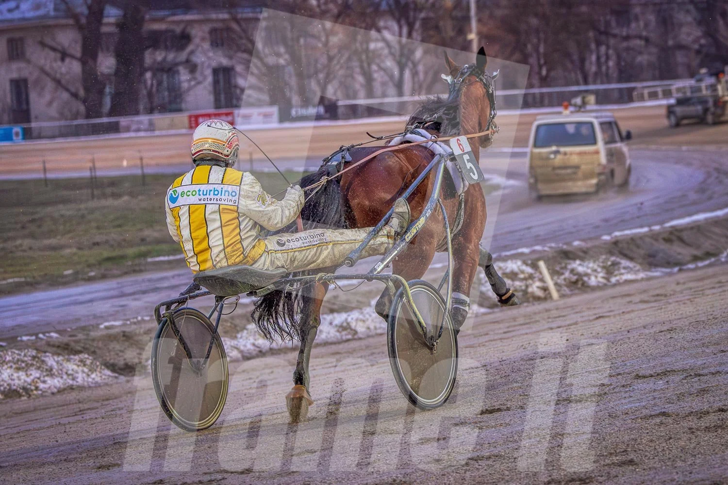 Pferderennen auf der Rennbahn.
