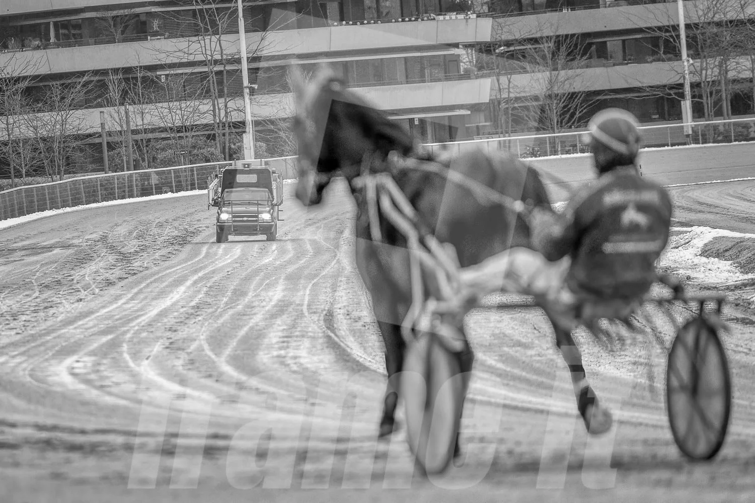 Schwarz-weiss Foto eines Trabrennpferdes, mit einem Trabrennfahrer auf der Trabrennbahn in der Wiener Krieau.