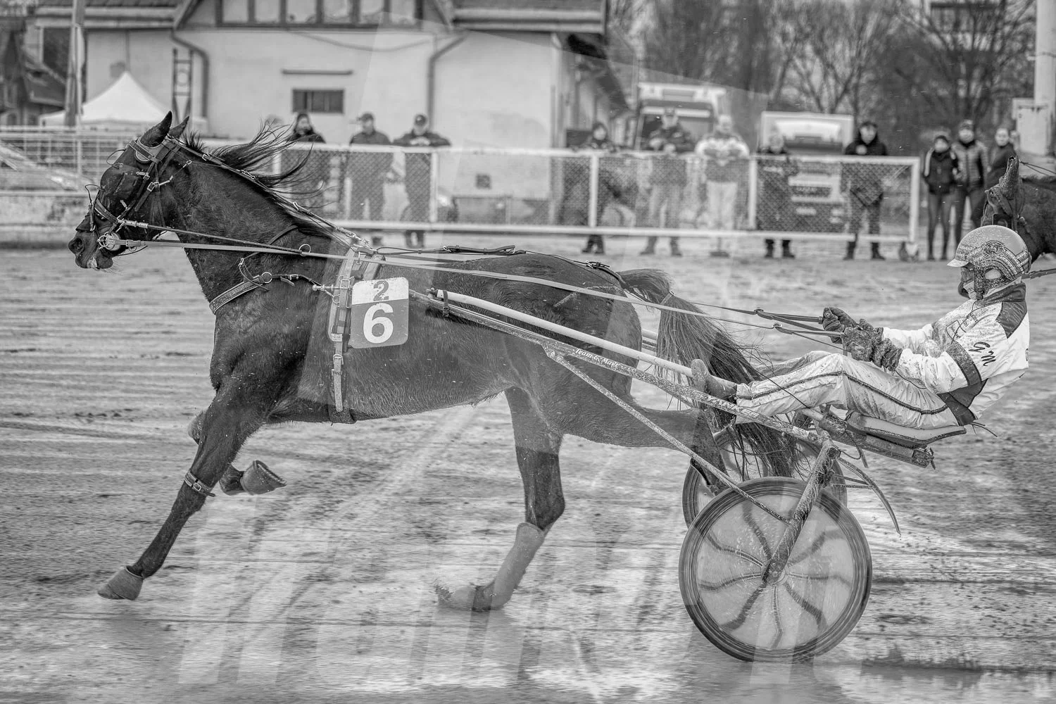 Pferderennen auf einer Rennbahn, Schwarz-Weiß-Bild, mit einem Rennfahrer im Sulky, im Hintergrund Zuschauer, die das Rennen beobachten.