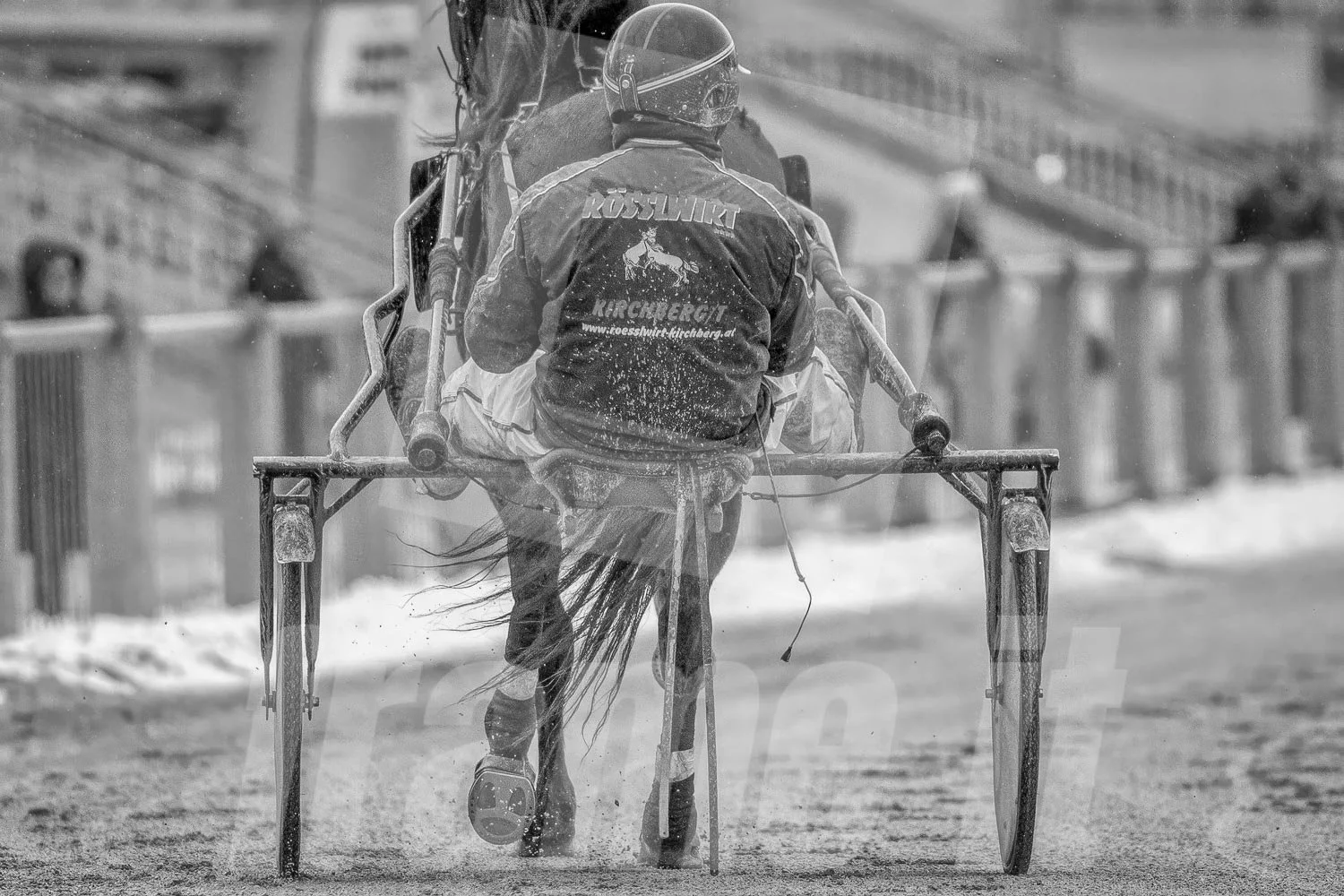 Schwarz-weiss Foto eines Trabrennpferdes, mit einem Trabrennfahrer auf der Trabrennbahn in der Wiener Krieau.