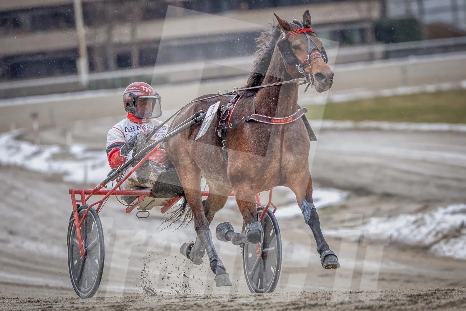 Trabrennpferd mit Trabrennfahrer auf der Pferderennbahn Wien Krieau bei winterlichen Bedingungen.