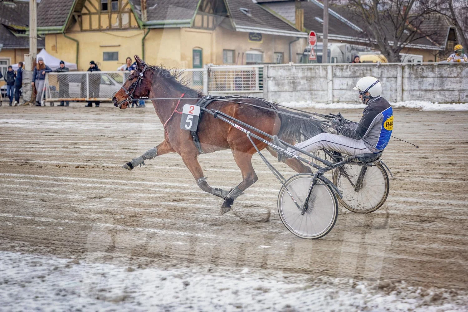 Pferderennen auf der Rennbahn, mit einem Pferd. Zuschauer im Hintergrund. Es ist winterlich mit Schneeresten am Rand.
