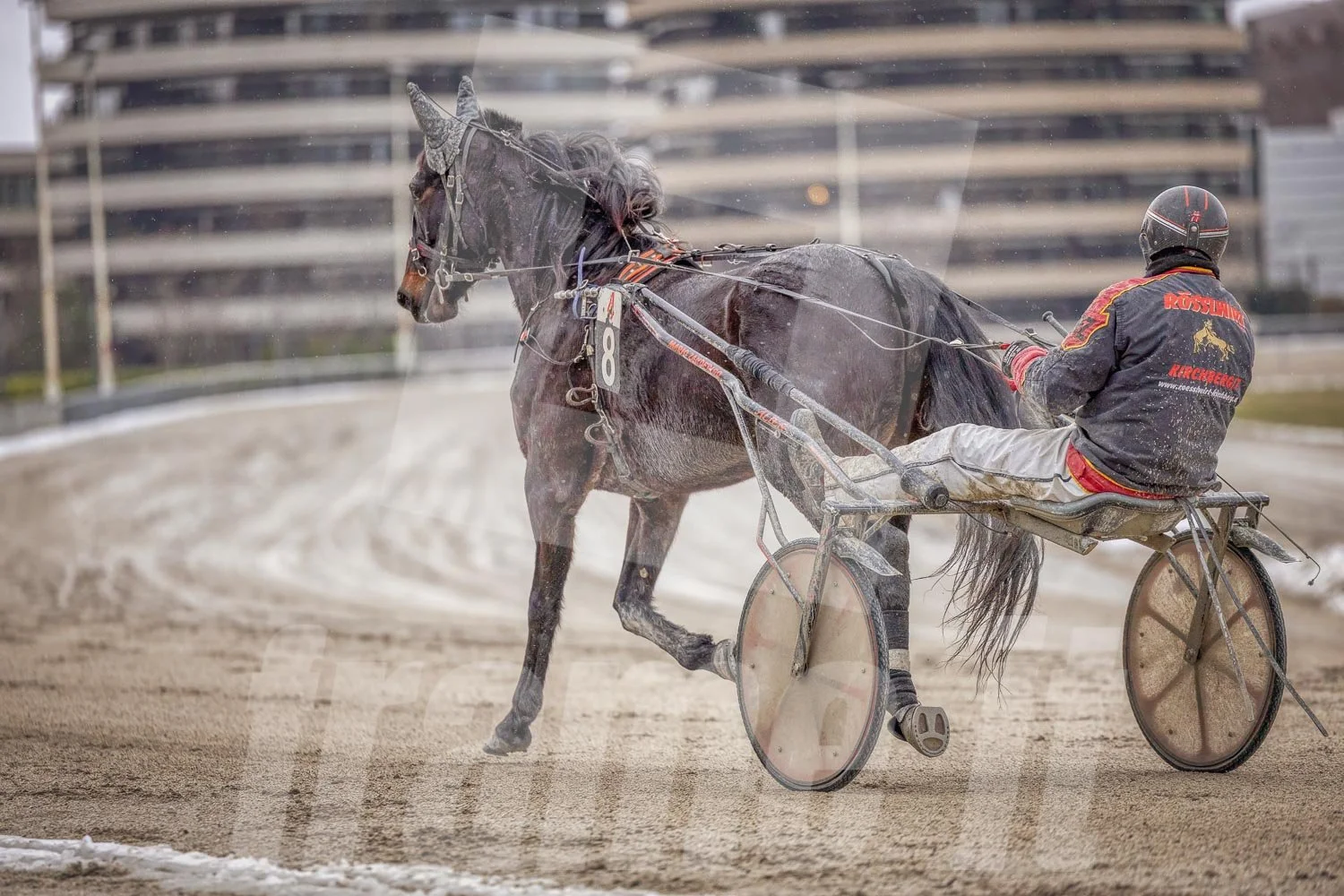 Trabrennpferd mit Trabrennfahrer auf der Pferderennbahn Wien Krieau bei winterlichen Bedingungen.
