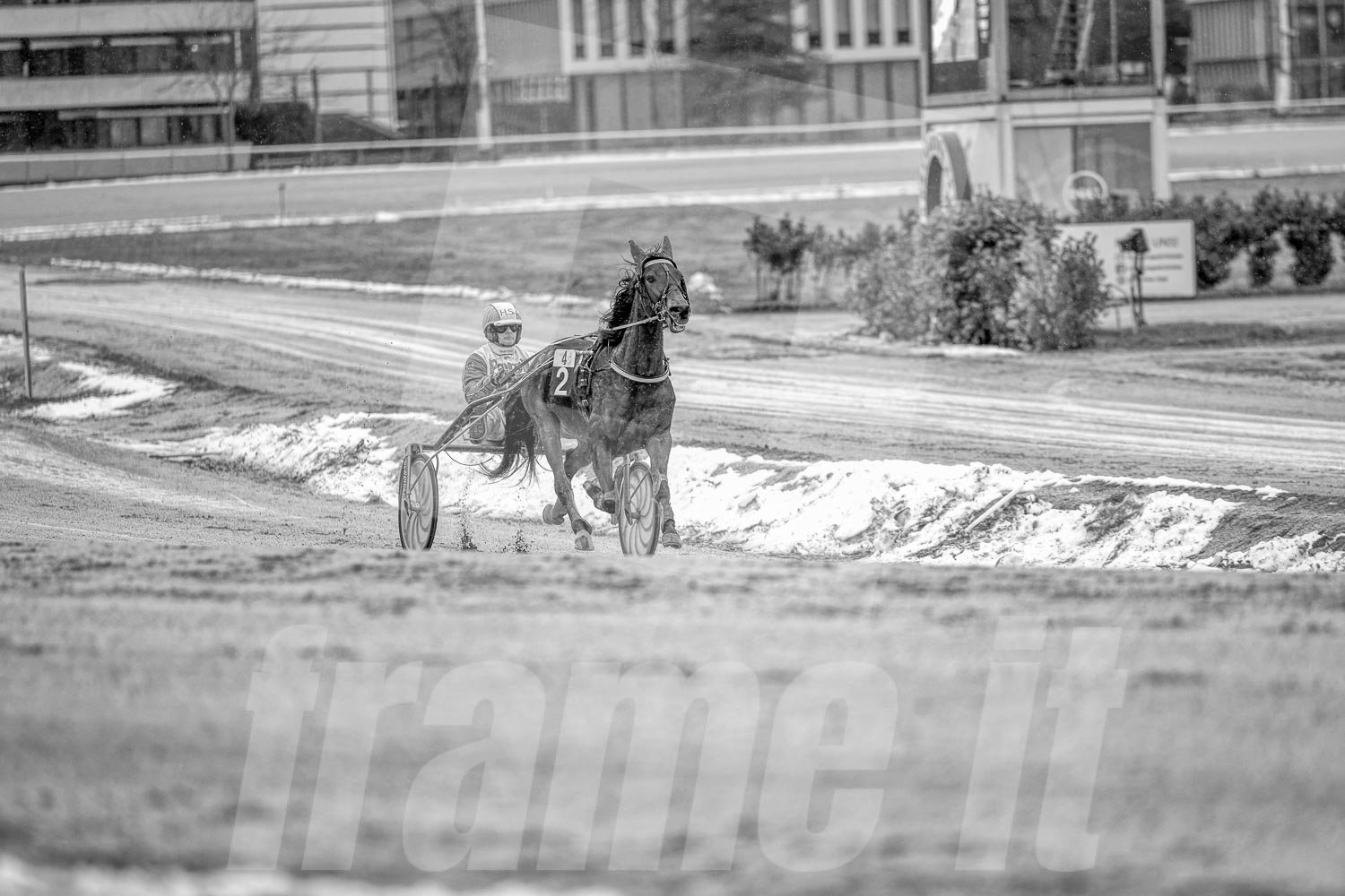 Schwarz-weiss Foto eines Trabrennpferdes, mit einem Trabrennfahrer auf der Trabrennbahn in der Wiener Krieau während eines Rennens
