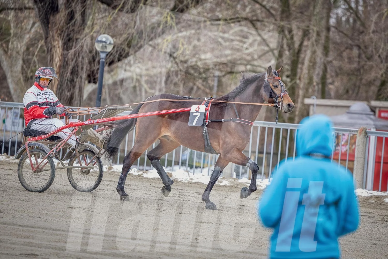 Trabrennfahrer mit Pferd, Trabrennpark Krieau in Wien, während eine Person in blauer Jacke im Vordergrund steht.
