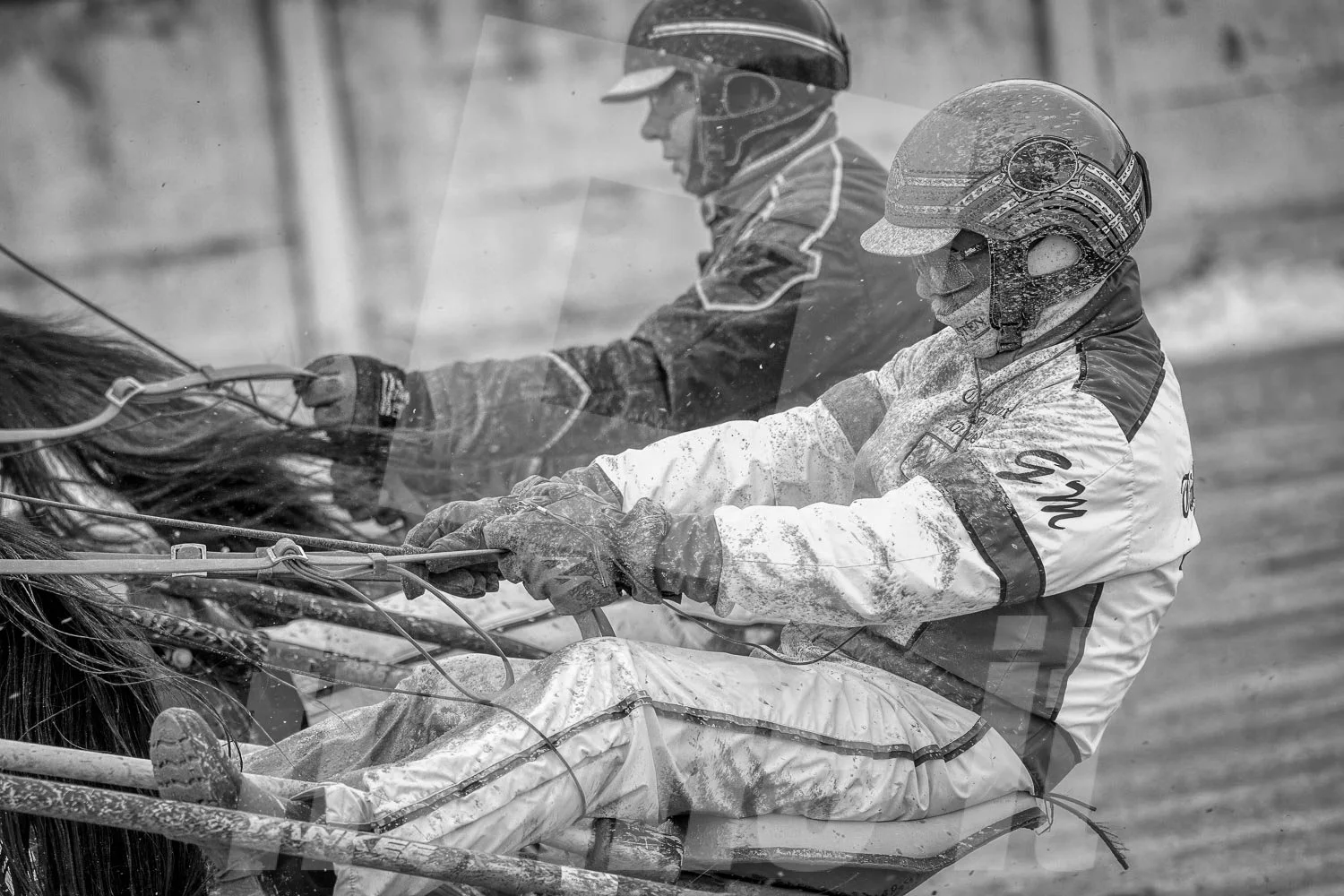 Gerhard Mayr, Trabrennfahrer und Trabrenntrainer bei einem Rennen in der Wiener Krieau.