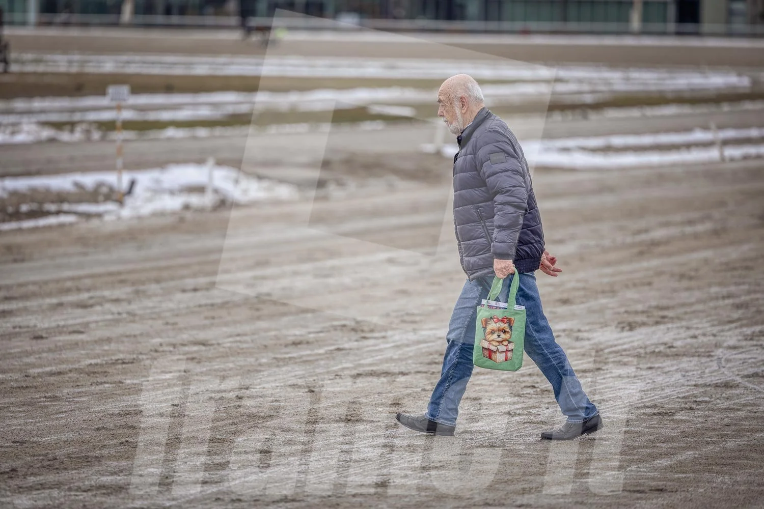 Älterer Mann läuft überquert die Trabrennbahn Wien Krieau.