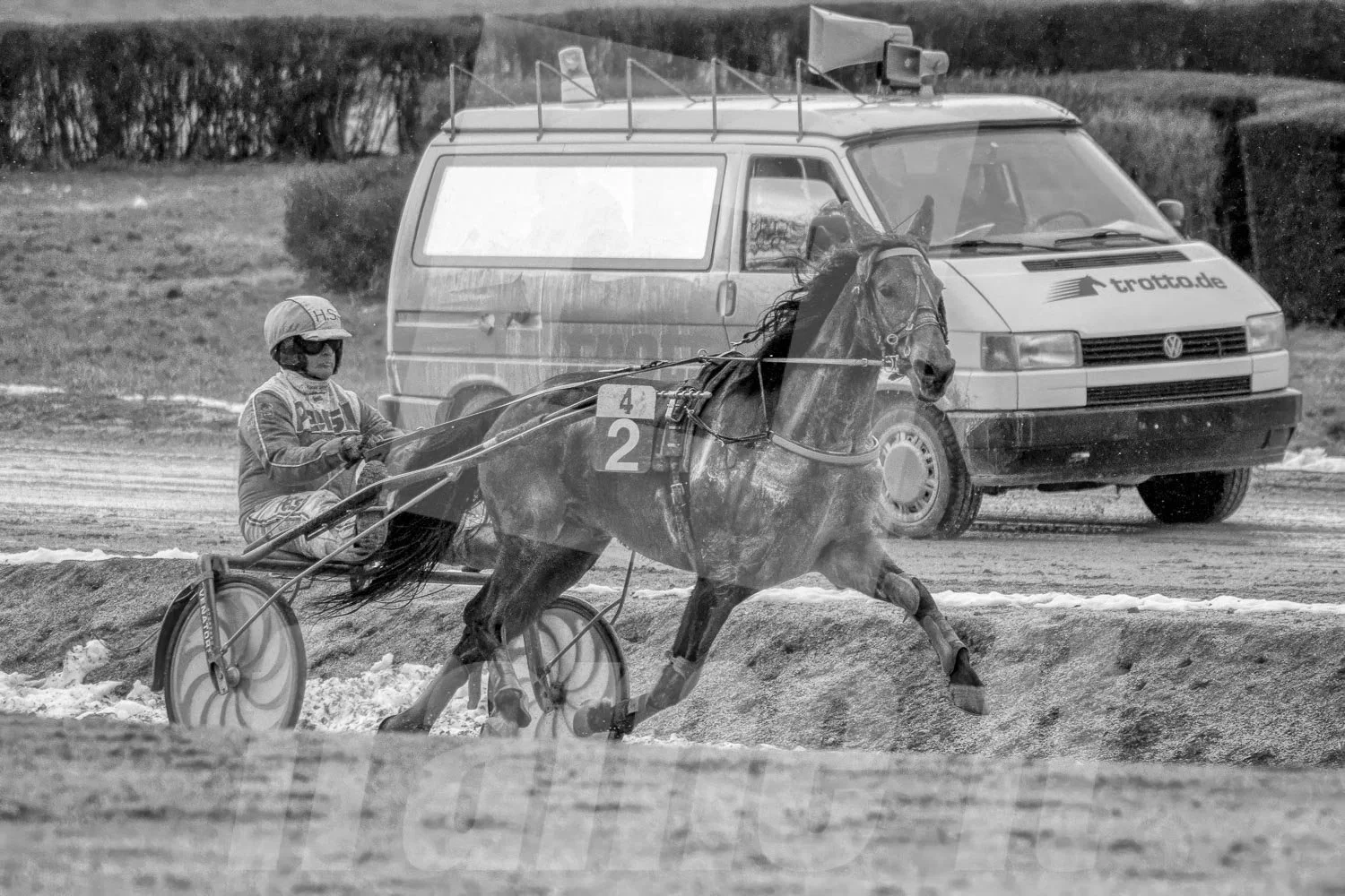 Trabrennen mit einem Pferd und einem Trabrennfahrer, im Hintergrund ein Fahrzeug, die Rennleitung.