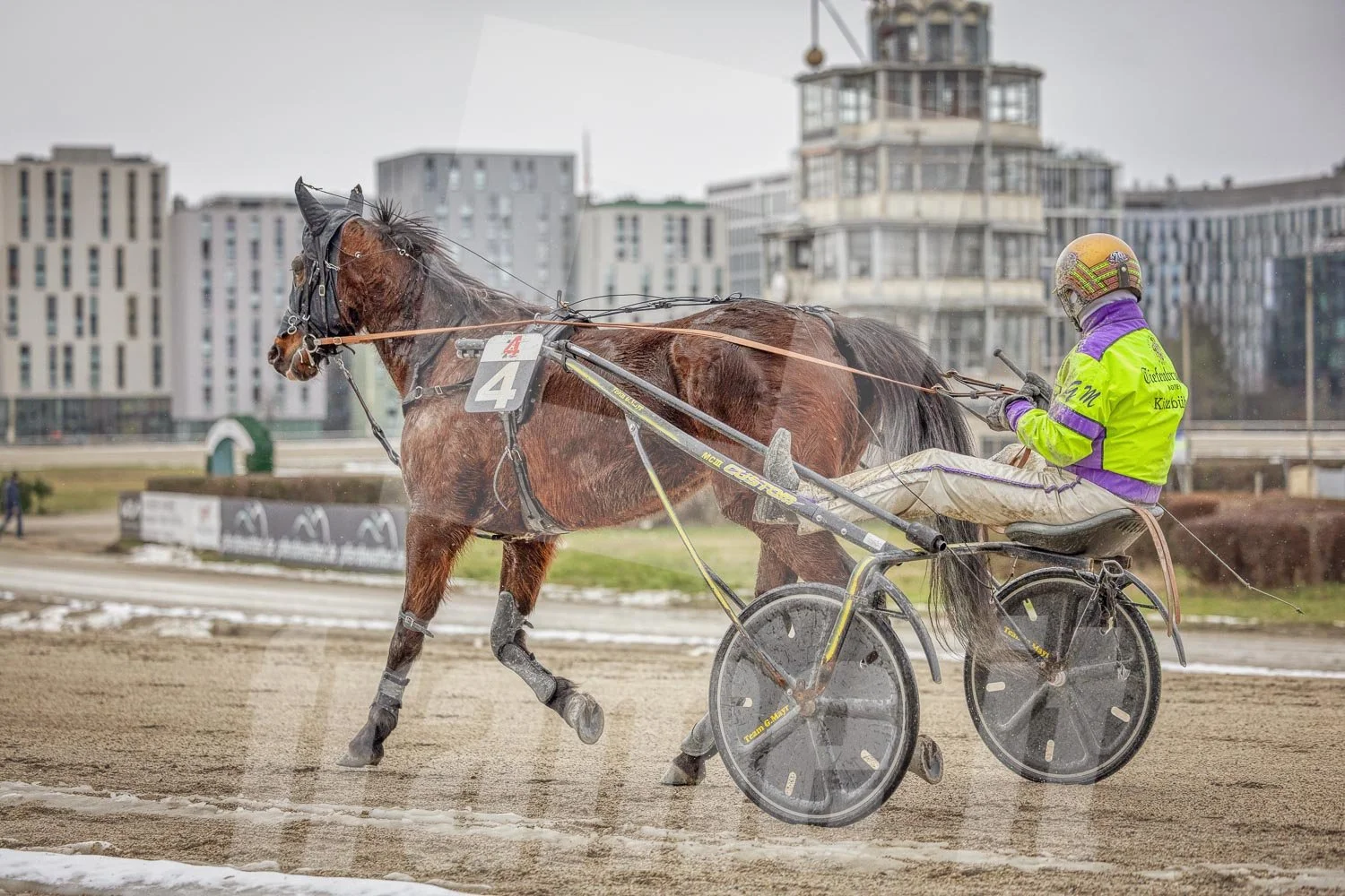 Trabrennpferd mit Trabrennfahrer auf der Pferderennbahn Wien Krieau bei winterlichen Bedingungen, Hintergrund mit modernen Gebäuden.