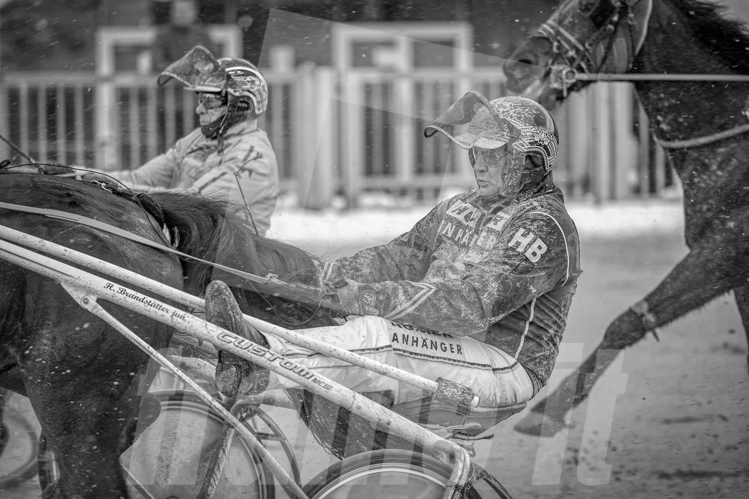 Rennszene eines Pferderennens auf der Trabrennbahn Wien Krieau.