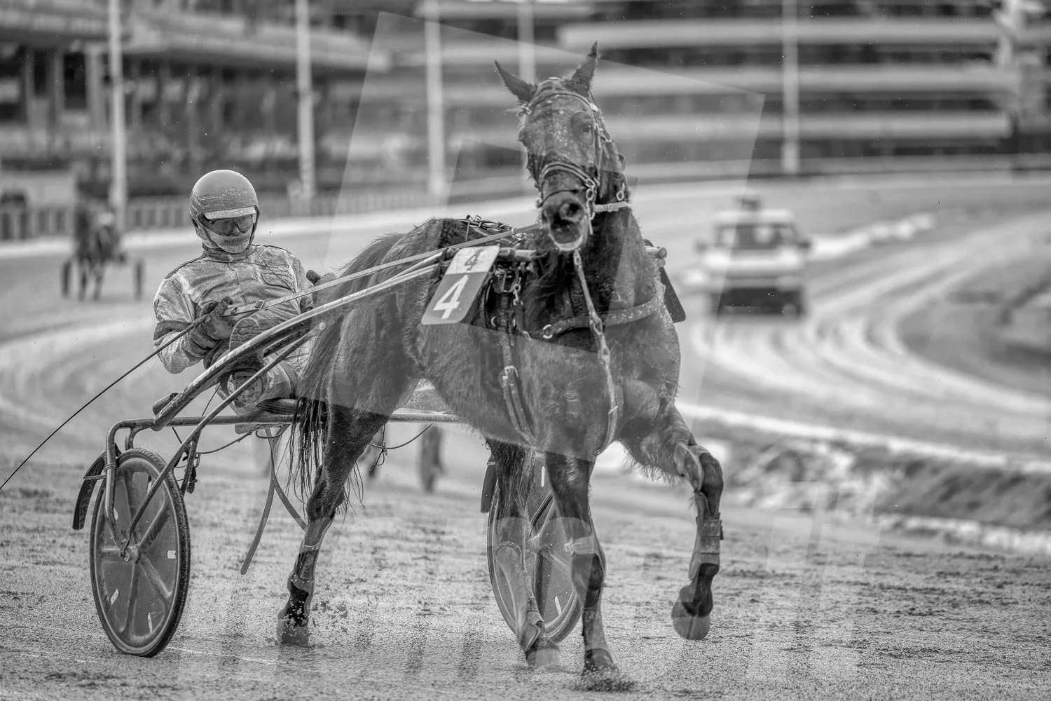 Ein Trabrennfahrer und ein Trabrennpferd auf der Trabrennbahn in Wien Krieau. Die Szene ist schwarz-weiß. Im Hintergrund sind andere Pferde und die Tribüne sichtbar.