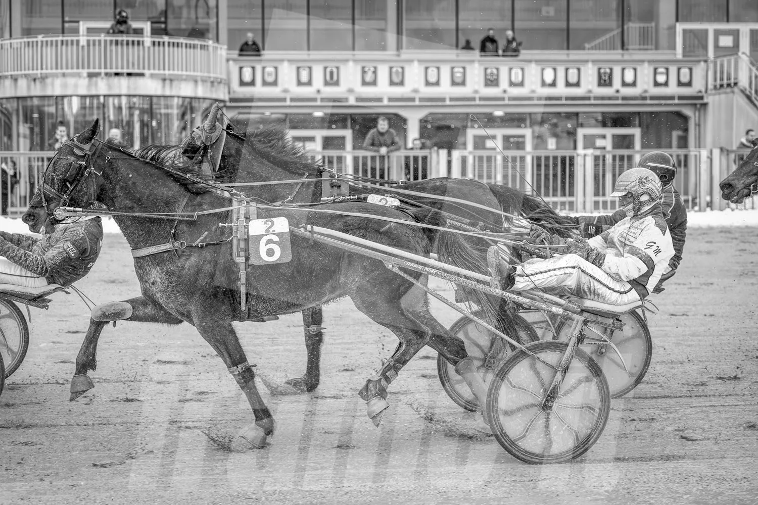 Pferderennen auf einer Rennbahn, Zuschauer im Hintergrund.