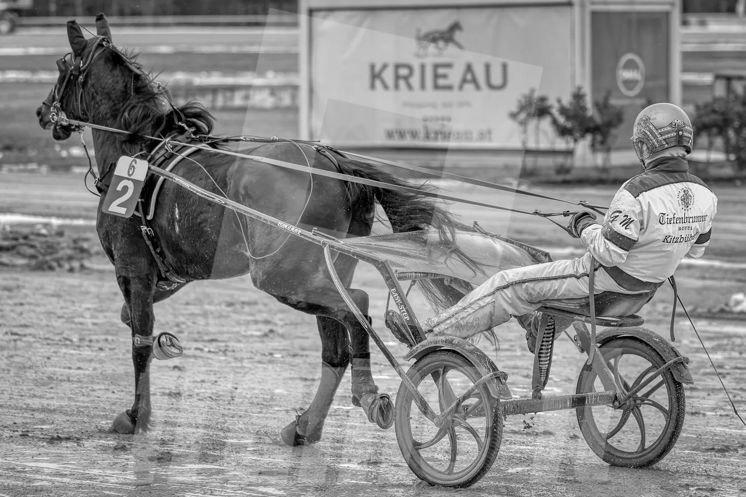Schwarz-weiss Foto eines Trabrennpferdes, mit einem Trabrennfahrer auf der Trabrennbahn in der Wiener Krieau.
