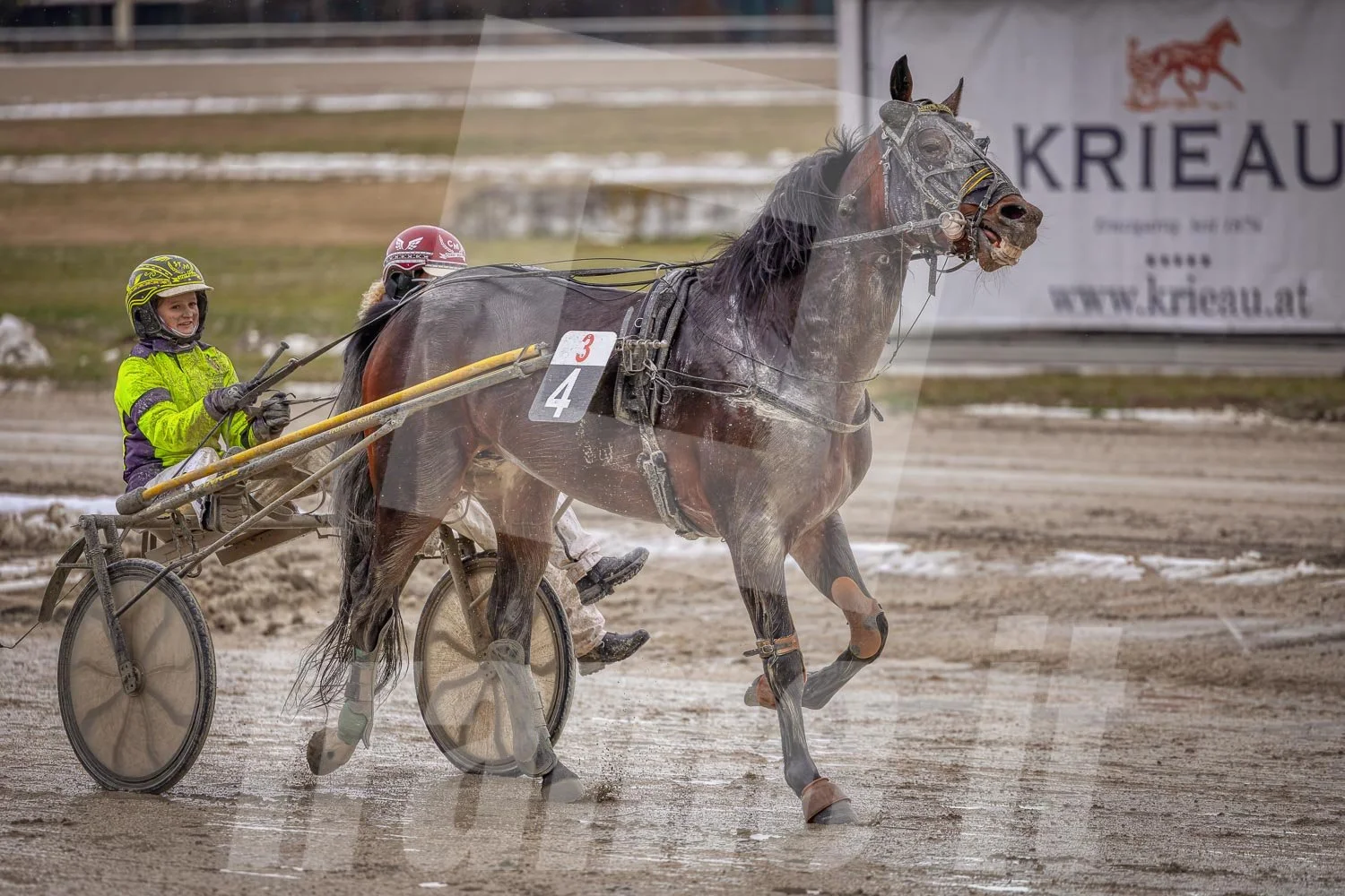 Trabrennpferd mit Trabrennfahrer auf der Pferderennbahn Wien Krieau bei winterlichen Bedingungen.