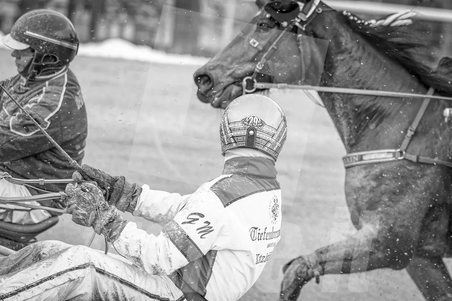 Schwarz-weiß-Foto von Gerhard Mayr, Trabrennfahrer und Trabrenntrainer bei einem Rennen in der Wiener Krieau.