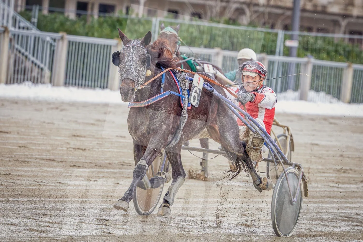 Trabrennen mit mehreren Pferden und Trabrennfahrern in Action, Trabrennpark Krieau.