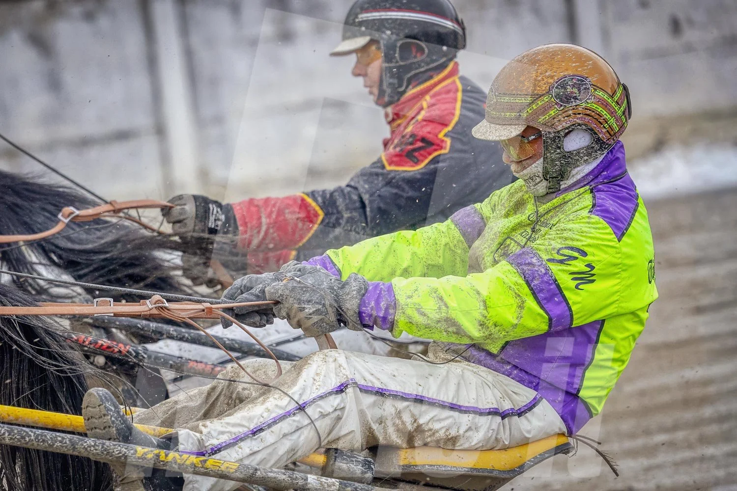 Gerhard Mayr bei einem Trabrennen im Trabrennpark Wien Krieau.