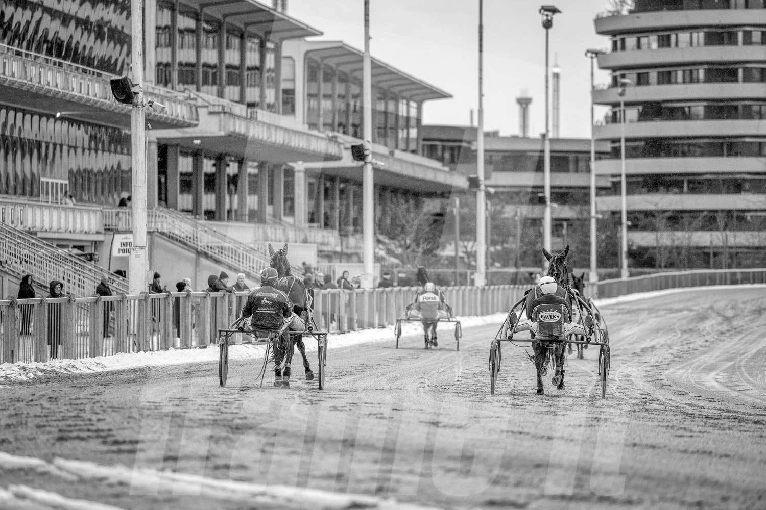 Pferderennen auf einer Rennbahn im Stadtzentrum, mit Zuschauern und modernen Gebäude im Hintergrund, schwarz-weiß.