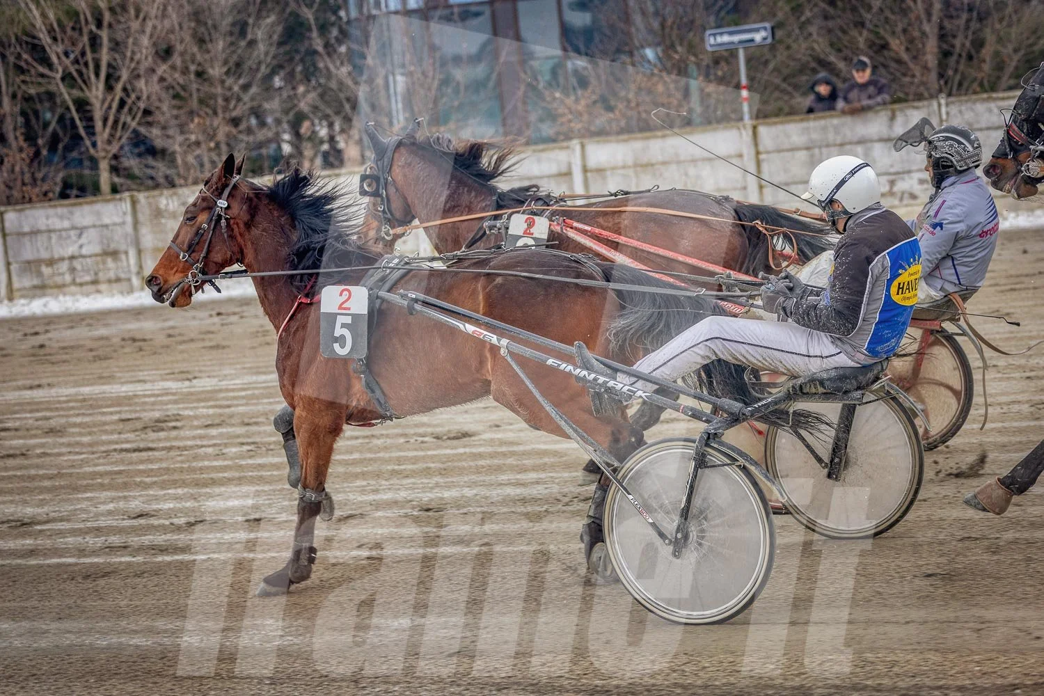 Pferderennen auf der Rennbahn mit mehreren Pferden.