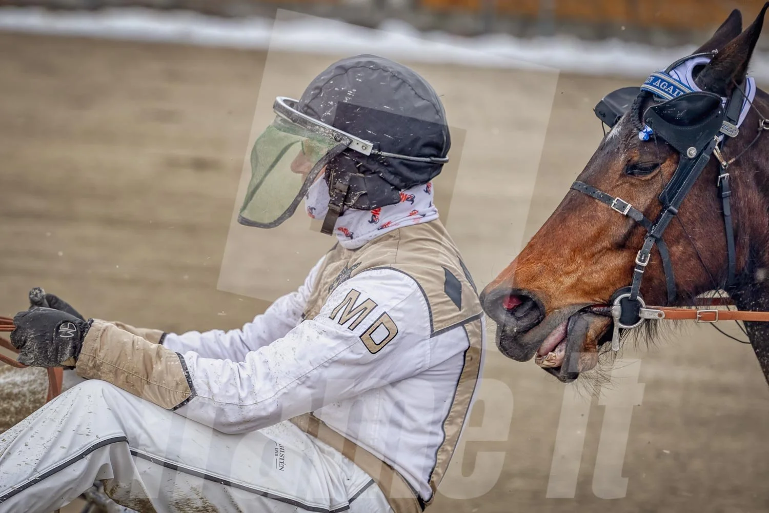 Trabrennen mit mehreren Trabrennpferden und Fahrern auf der Trabrennbahn in Wien Krieau. 