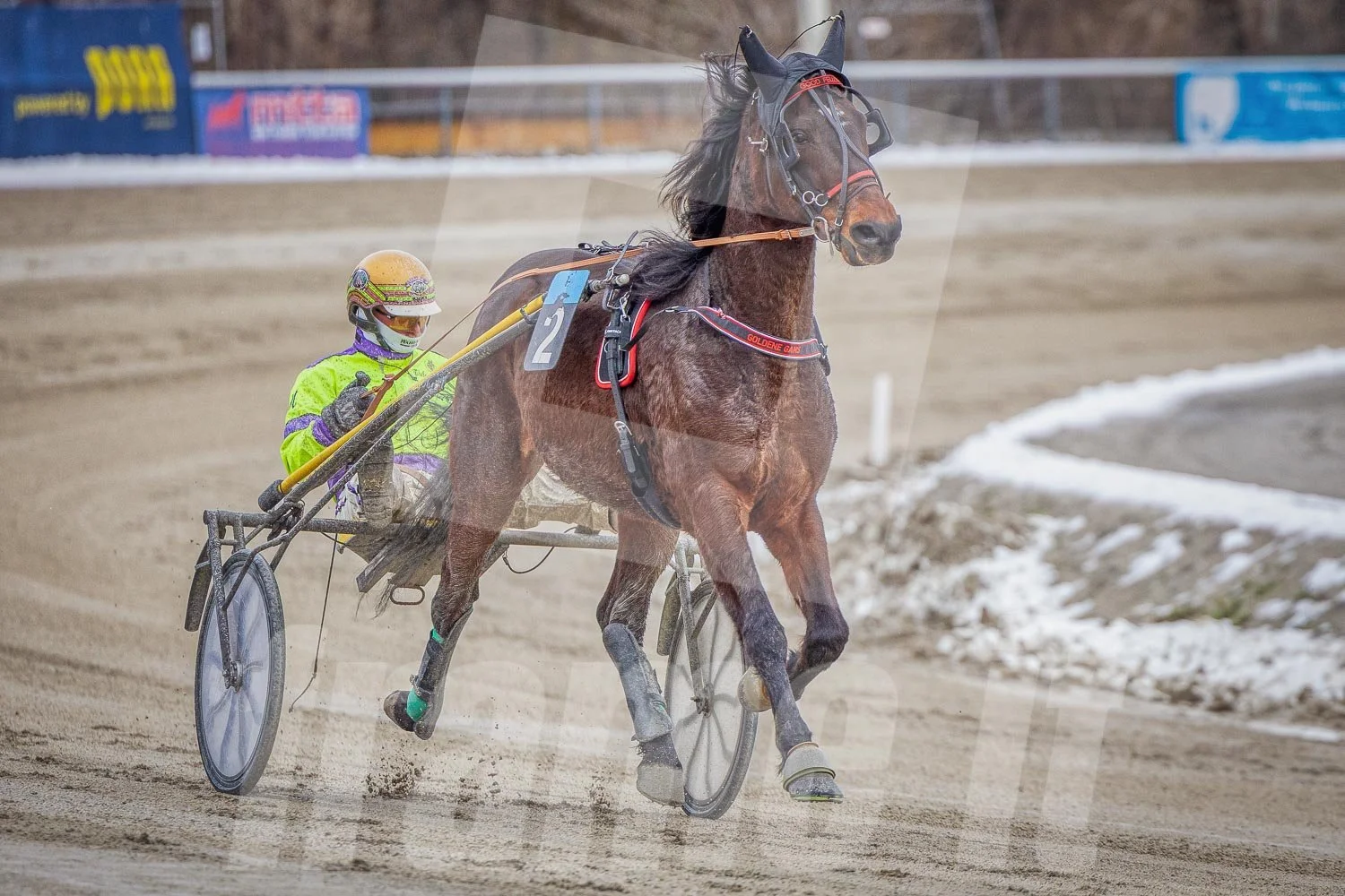 Ein Trabrennfahrer und ein Trabrennpferd im Trabrennpark Krieau.