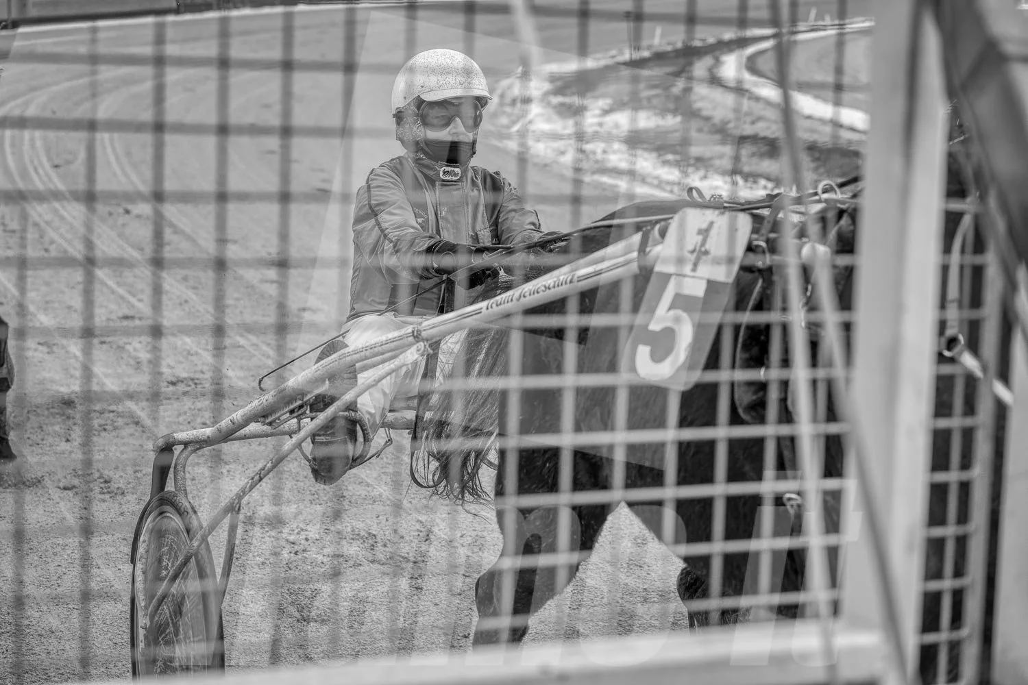 Ein Jockey sitzt in einem Pferdewagen, der von einem schwarzen Pferd gezogen wird, auf einer Rennbahn, gesehen durch ein Gitter.
