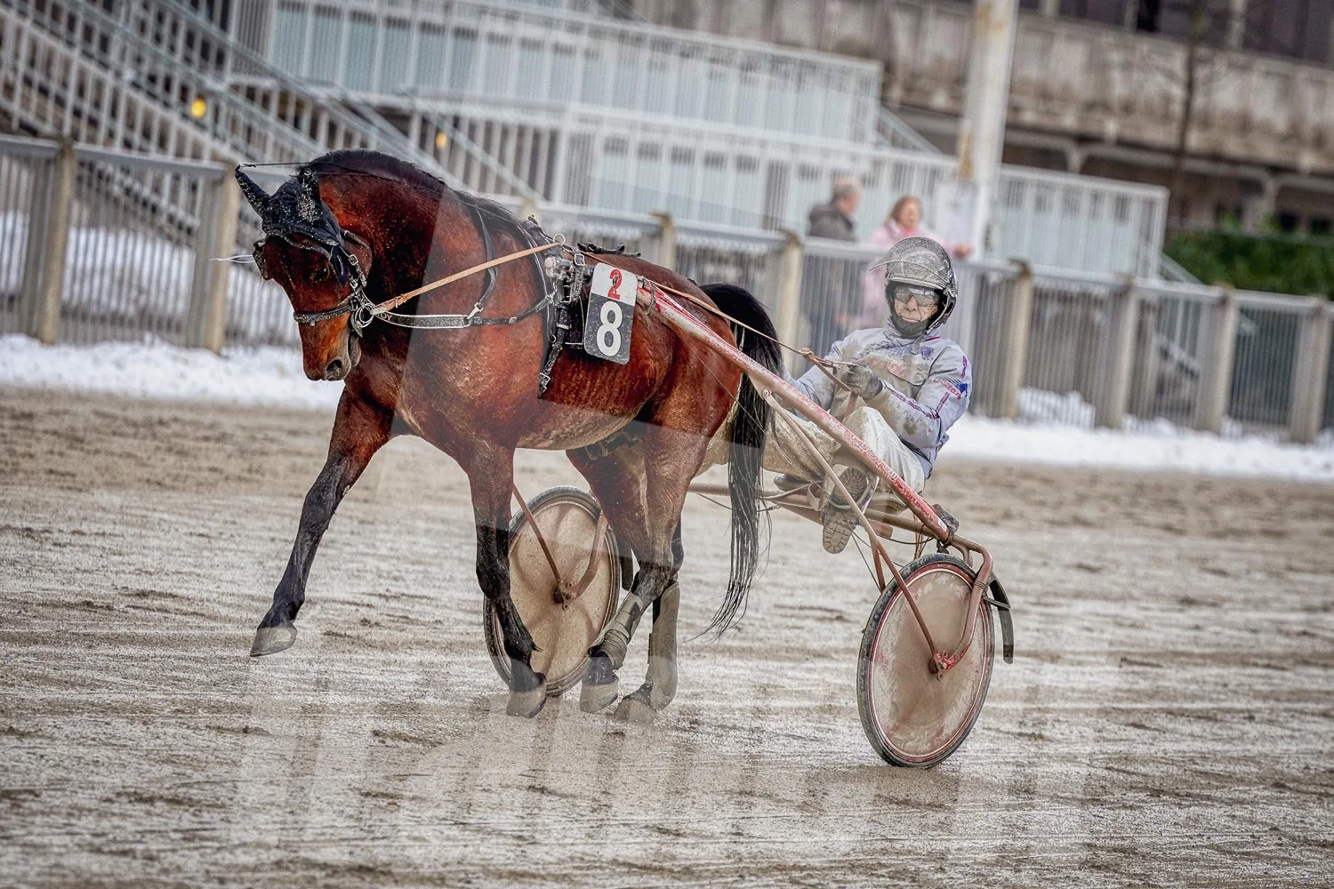 Trabrennpferd mit Fahrer, im Hintergrund sind Zuschauer und die Tribüne vom Trabrennpark Krieau.