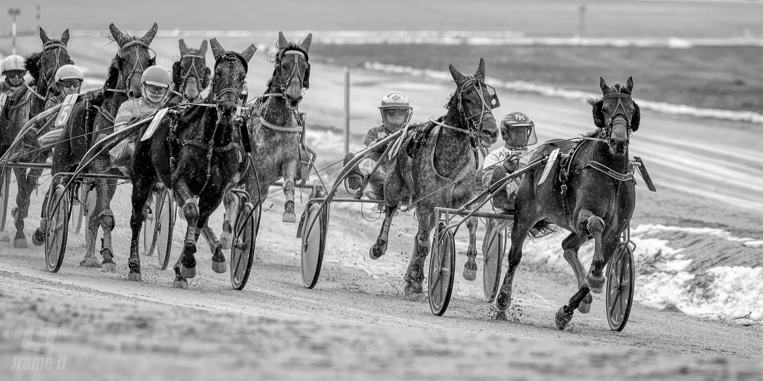 Trabrennen in der Wiener Krieau Trabrennpark Rennszene