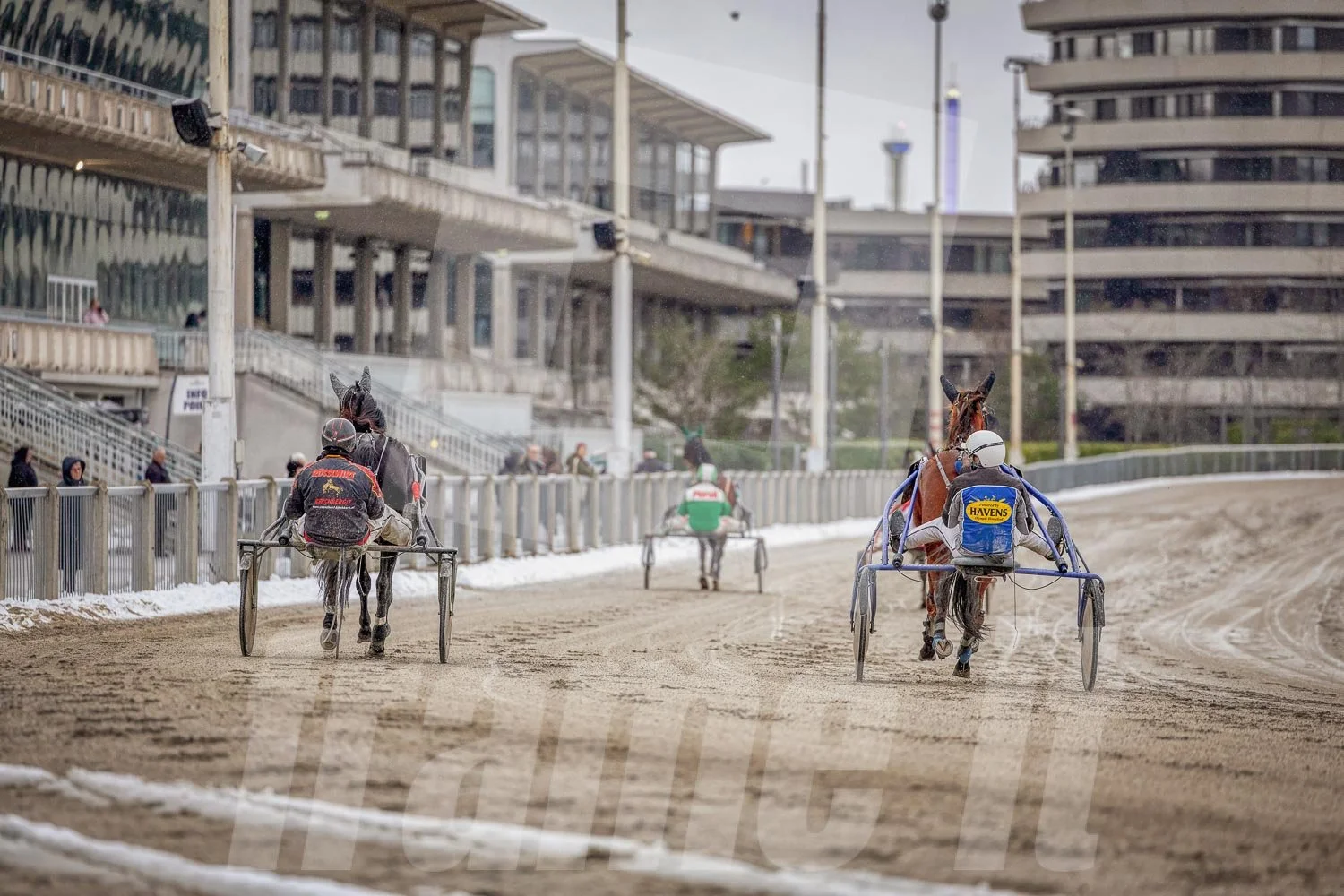 Pferderennen, umgeben von Gebäuden und Zuschauern.