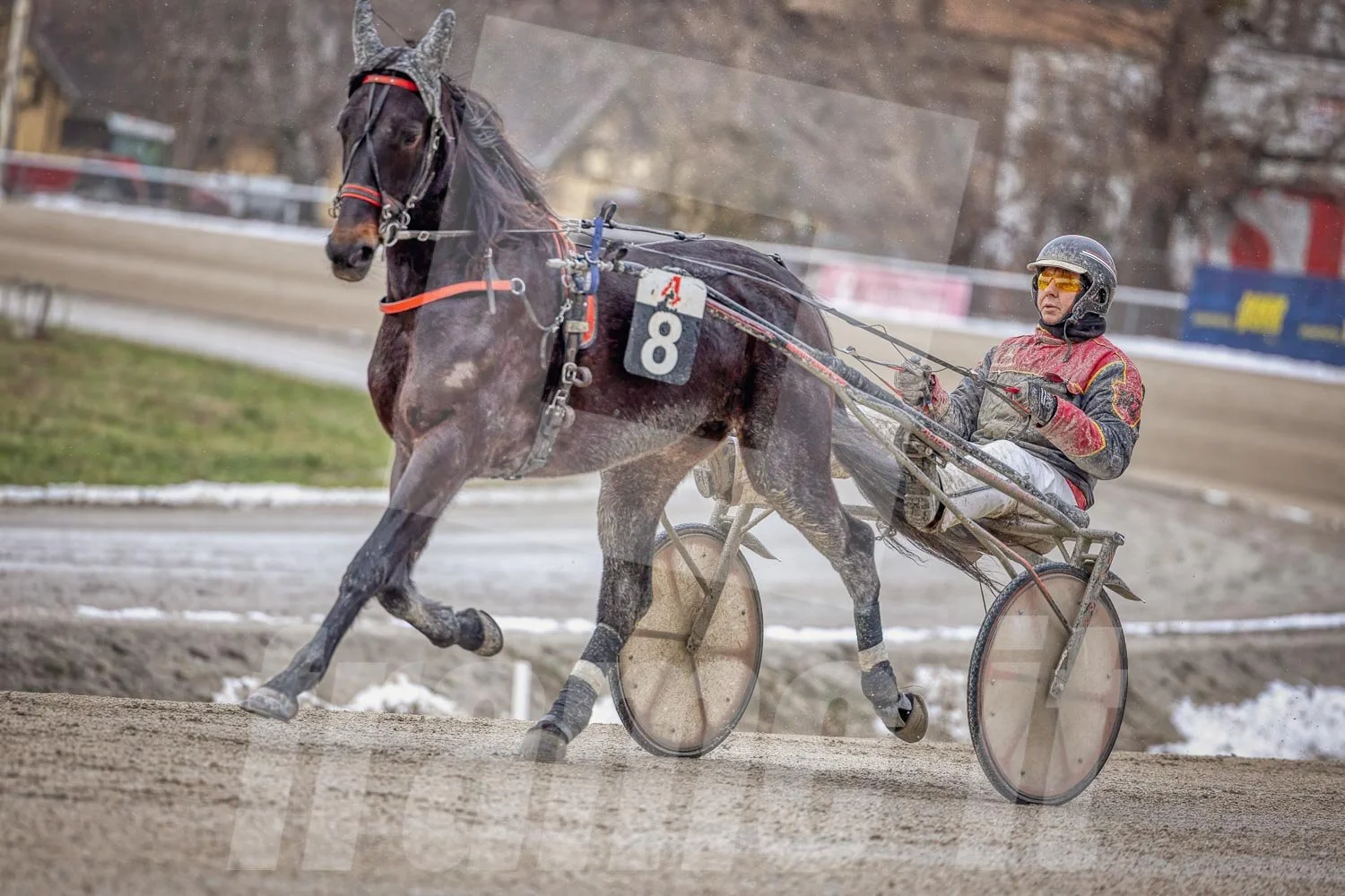 Pferderennfahrer auf einem Pferderennbahn, im Winter, mit Schnee im Hintergrund.