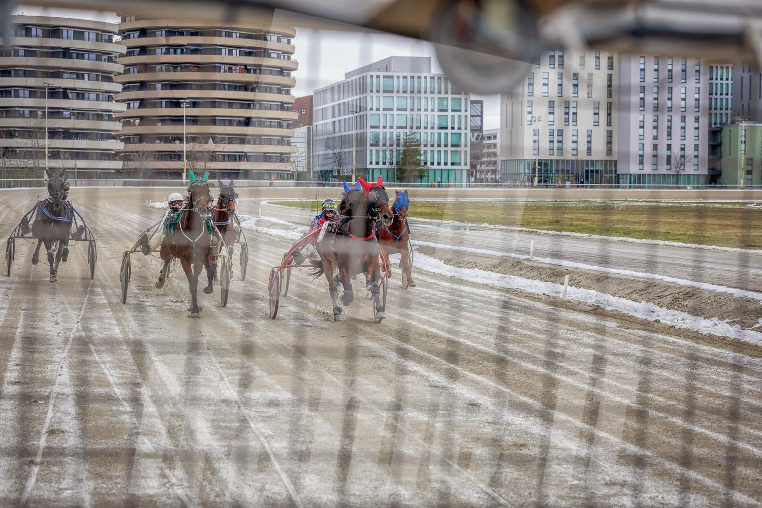 Pferderennen auf einer Rennbahn in einer Stadt mit modernen Gebäuden im Hintergrund.