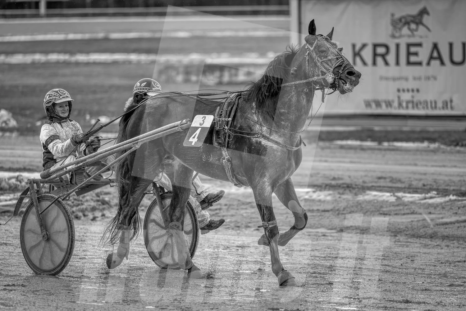 Schwarz-weiss Foto eines Trabrennpferdes, mit einem Trabrennfahrer auf der Trabrennbahn in der Wiener Krieau.