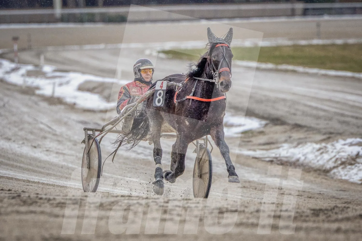 Pferd und Rennfahrer auf Rennbahn mit Schnee und Leichtregen