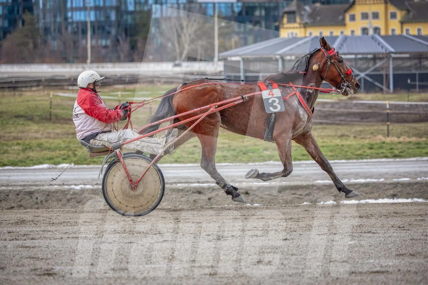 Pferderennbahn mit einem Pferd und einem Fahrer im Rennen