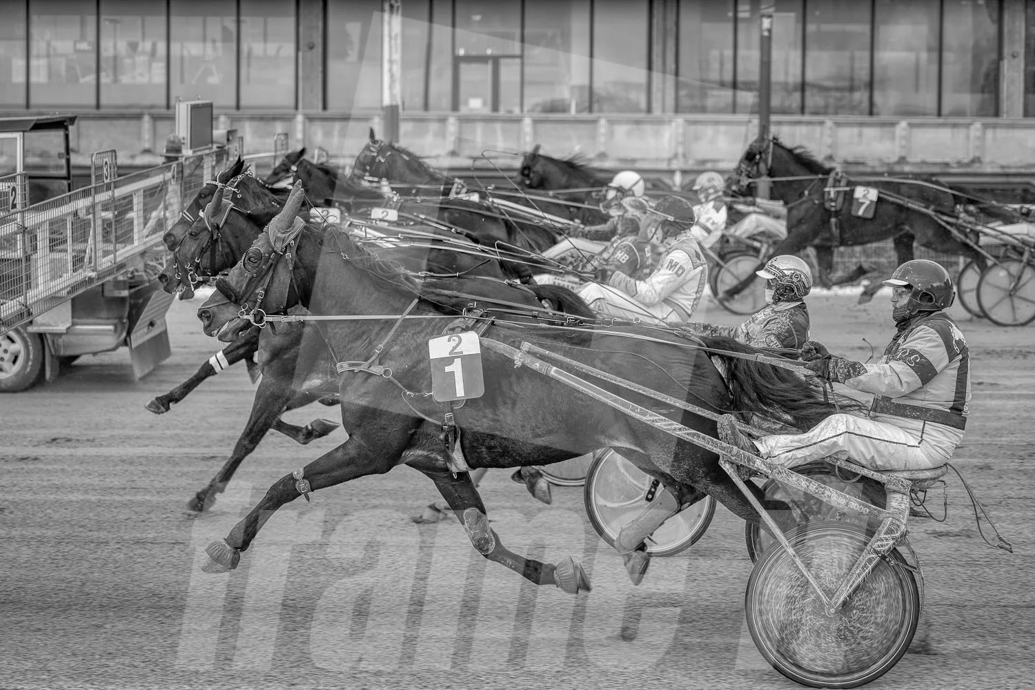 Schwarz-weiß-Foto eines Pferderennens mit mehreren Pferden und Fahrern, im Hintergrund eine moderne Gebäudefassade.