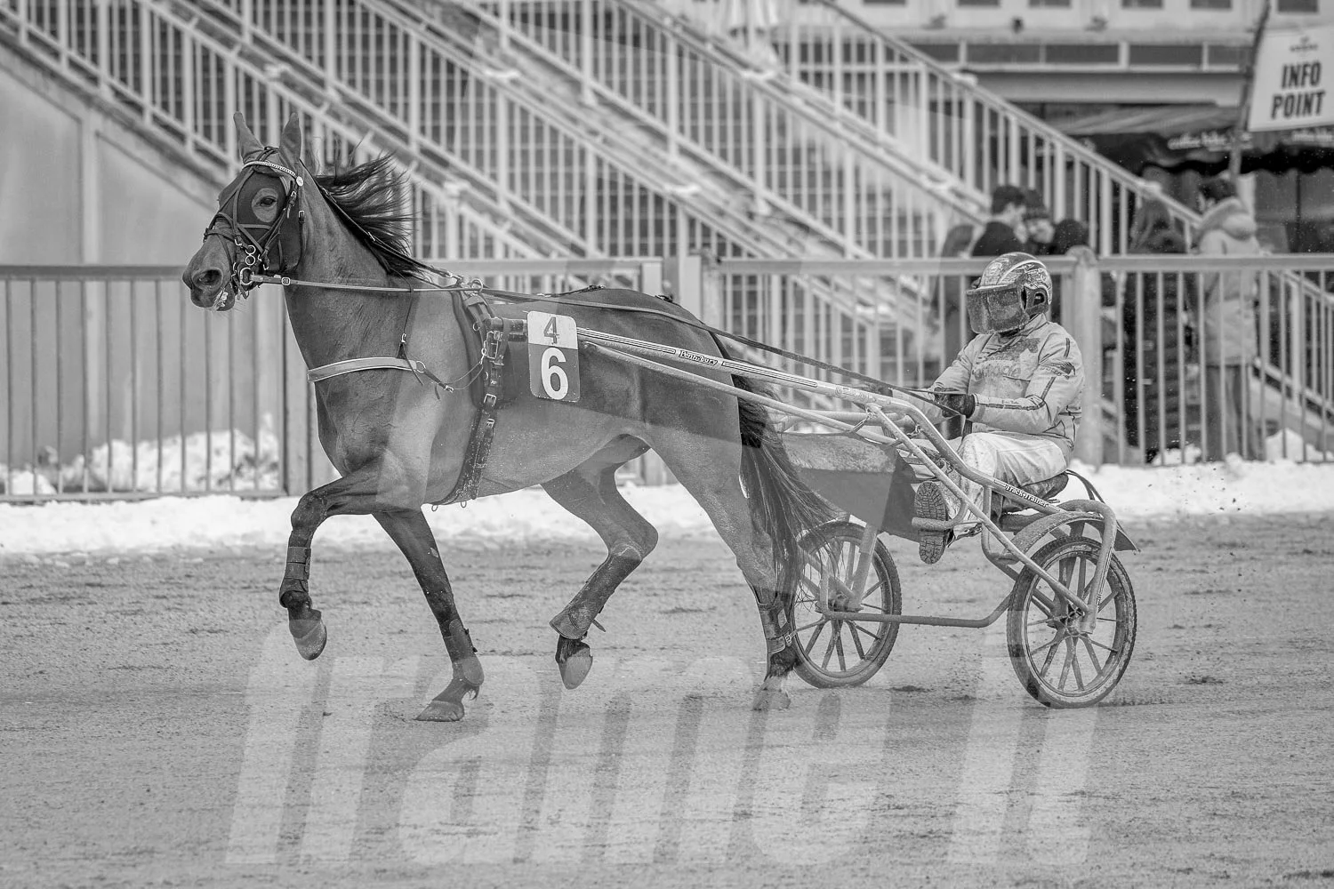 Pferd mit Jockey auf einer Rennbahn beim Trab, schwarz-weiß Bild.