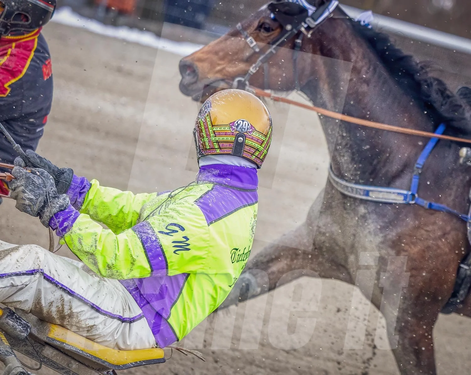 Grossaufnahme von Gerhard Mayr, dem Trabrennfahrer bei einem Rennen in der Wiener Krieau.