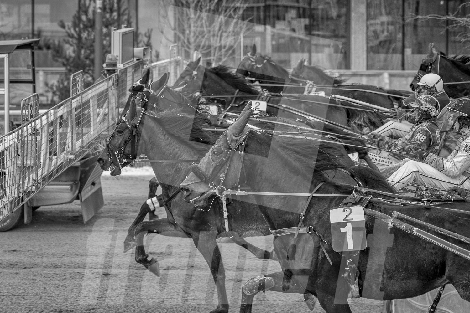 Schwarz-weiß-Foto eines Pferderennens mit mehreren Pferden und Jockeys.