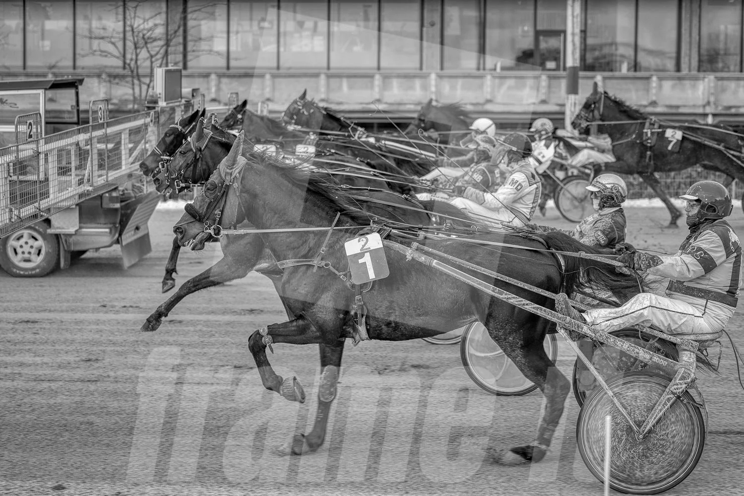 Schwarz-weiß-Foto von einem Pferderennen mit mehreren Pferden und Fahrern auf der Rennbahn, ohne Farbe.