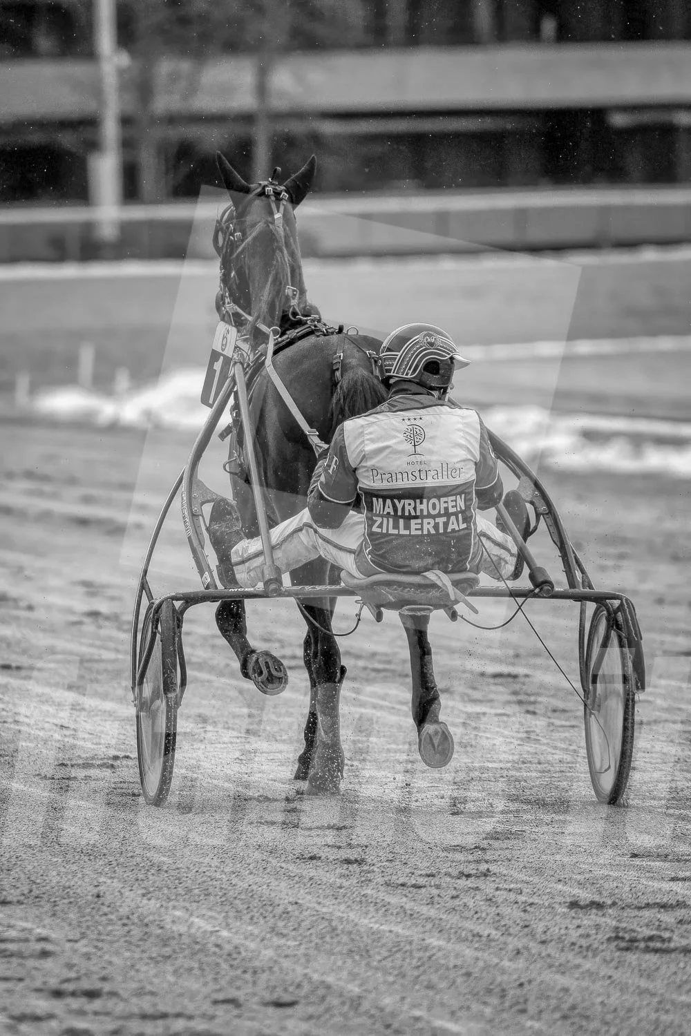 Schwarz-Weiß-Foto eines Trabrennpferdes mit einem Trabrennfahrer auf der Rennbahn vom Trabrennpark Krieau in Wien.