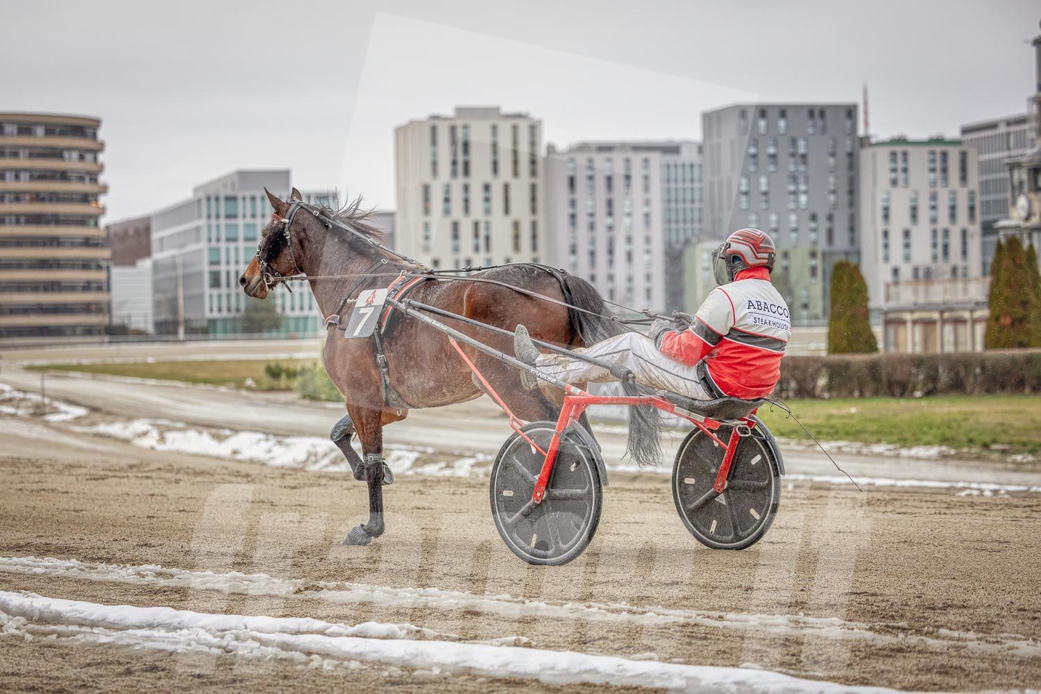 Trabrennpferd mit Trabrennfahrer auf der Pferderennbahn Wien Krieau bei winterlichen Bedingungen, im Hintergrund moderne Häuser.