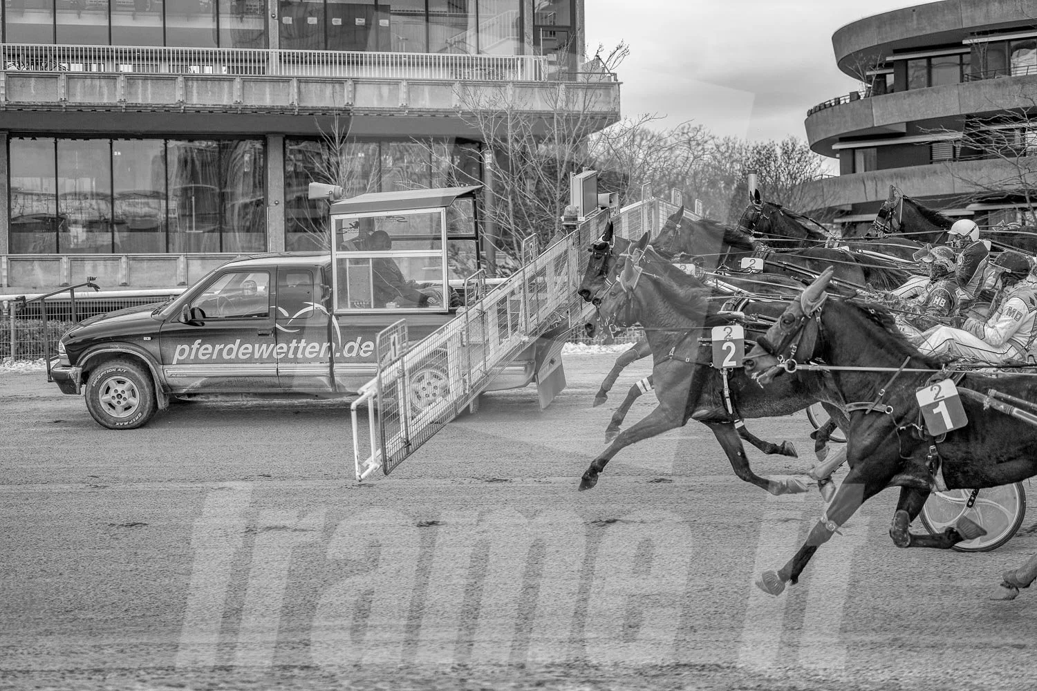 Pferderennen mit Trabrennpferden und Trabrennfahrern, die hinter dem Startwagen fahren.