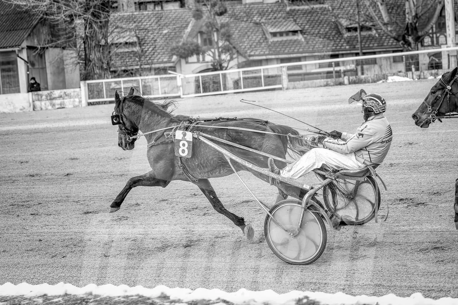 Pferderennen auf einer Rennbahn.