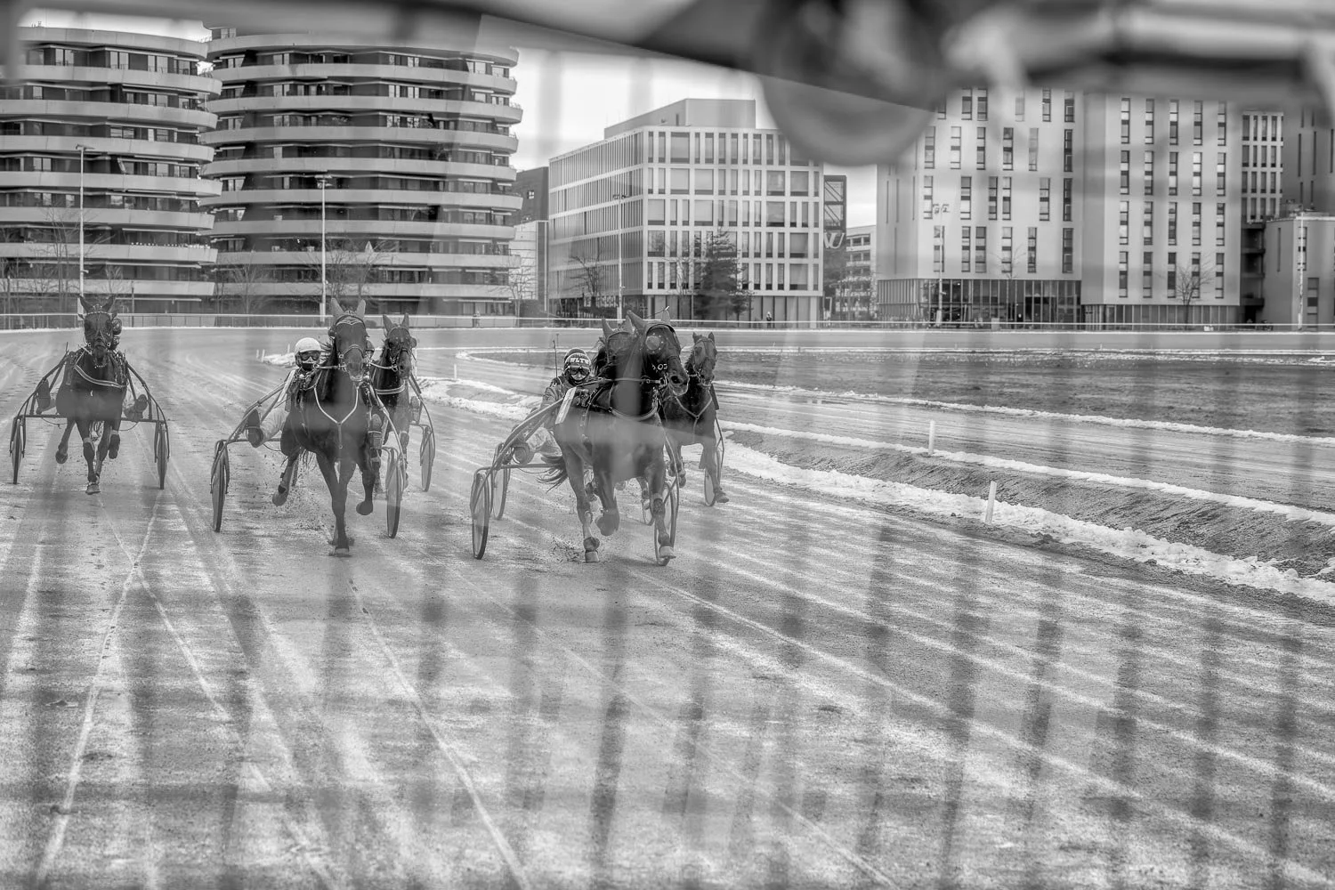 Pferderennen auf einer Bahn in einer modernen Stadt mit Hochhäusern im Hintergrund, Bild in Schwarzweiß fotografiert.