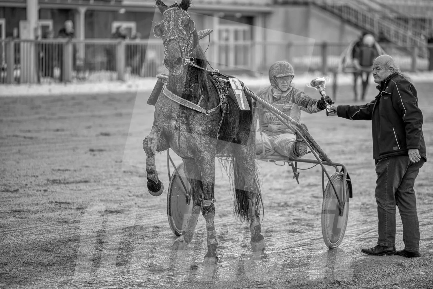 Ein Pferd gewinnt bei einer Pferderennveranstaltung, während eine Person einen kleinen Pokal reicht.