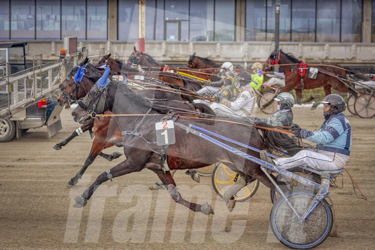Trabrennen mit mehreren Trabrennpferden und Fahrern auf der Trabrennbahn in Wien Krieau. Startphase hinter dem Startwagen.